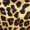 Multi Leopard Print Ruched Side Split Satin Midi Skirt